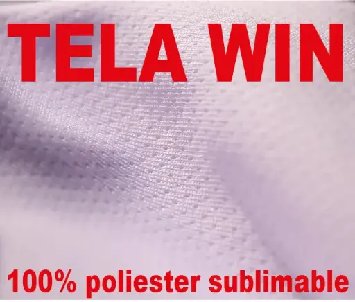 Tela Win